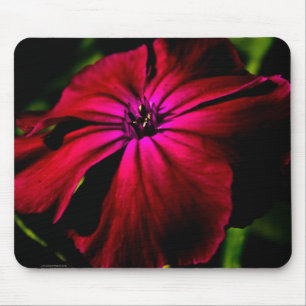 Lila Wilde Blume Mousepad