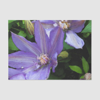 Lila Winden-Blume Decoupage Seidenpapier