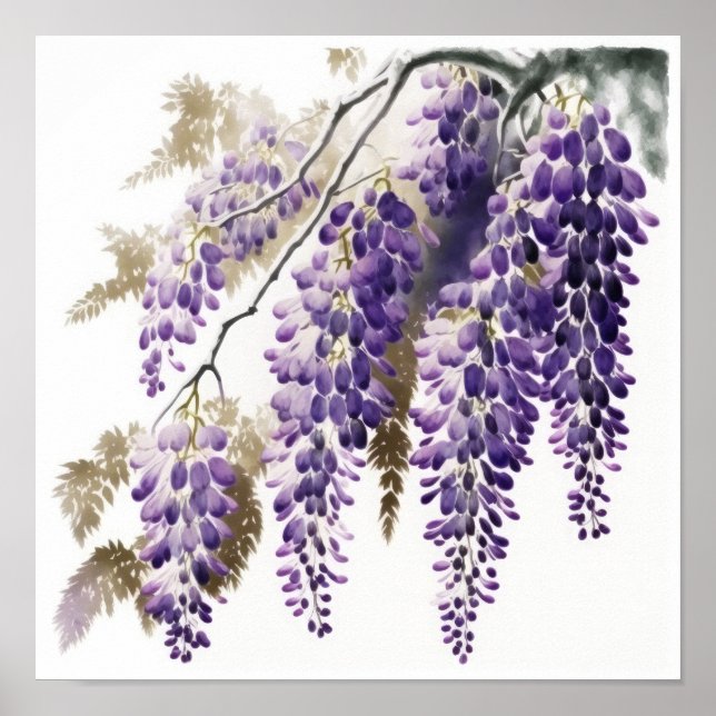 Lila Wisteria Blume Art Print Poster (Vorne)