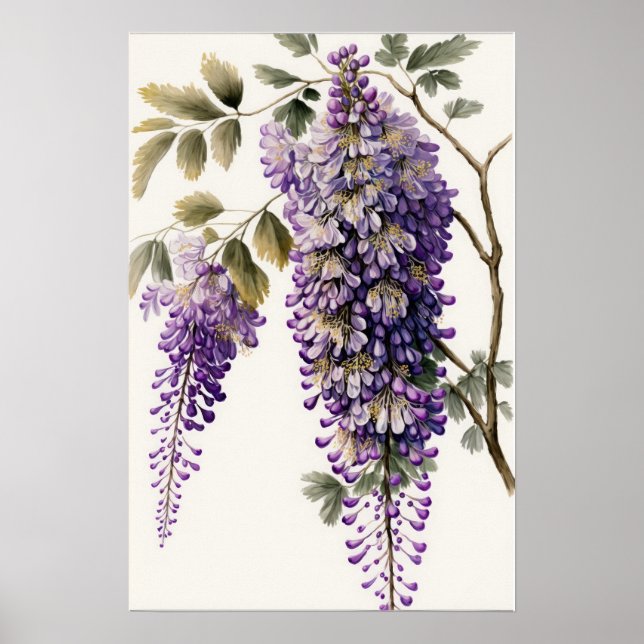 Lila Wisteria Blume Art Print Poster (Vorne)
