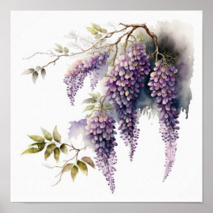 Lila Wisteria Blume Art Print Poster