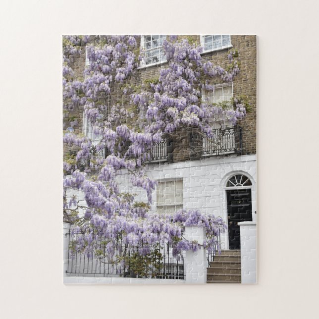 Lila Wisteria Blume Kensington Chelsea London Puzzle (Vertikal)