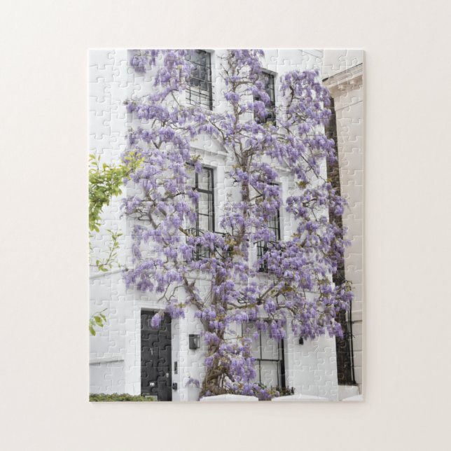 Lila Wisteria Blume Kensington Chelsea London Puzzle (Vertikal)