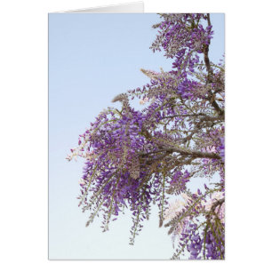 Lila Wisteria Card