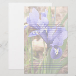 Lila Zwergpapier Iris Blumenpapier Briefpapier