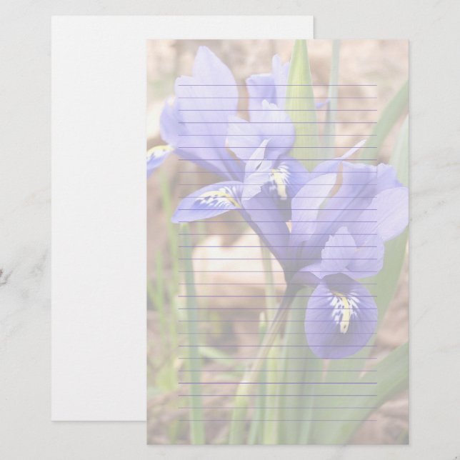 Lila Zwergpapier Iris Blumenpapier Briefpapier (Vorne/Hinten)