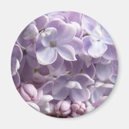 Lilac Blossoms Magnet