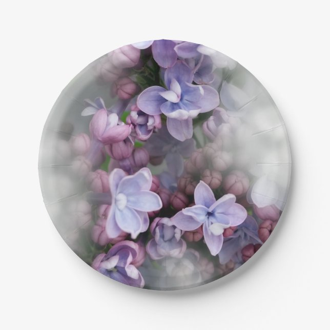 Lilac blüht pappteller (Vorderseite)