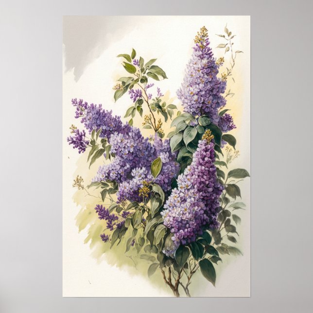 Lilac Blume Art Print Poster (Vorne)