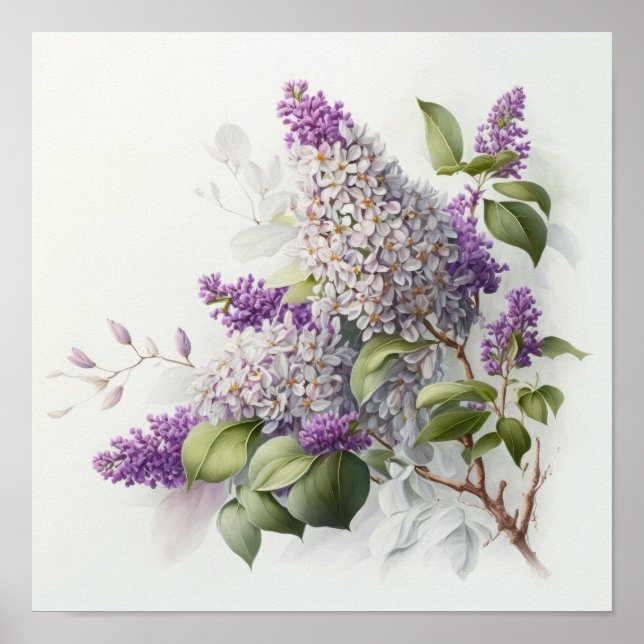 Lilac Blume Art Print Poster (Vorne)