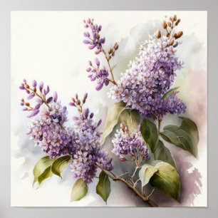 Lilac Blume Art Print Poster