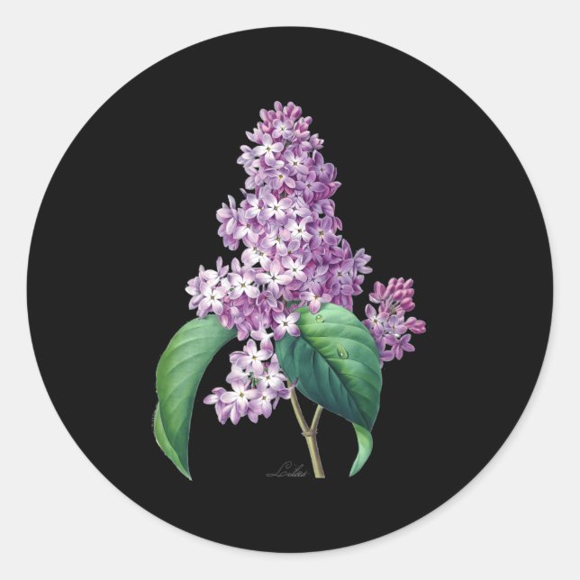 Lilac Blume botanisch für Gärtner Runder Aufkleber (Vorderseite)