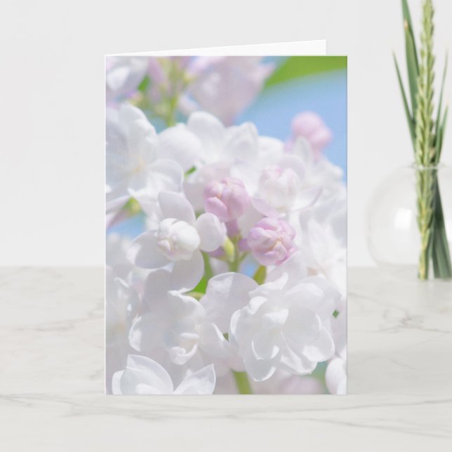 Lilac Blume Feiertagskarte (Vorderseite)