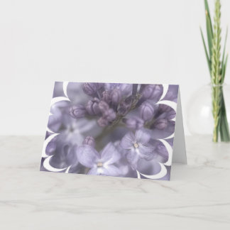 Lilac Blume Grußkarte Karte