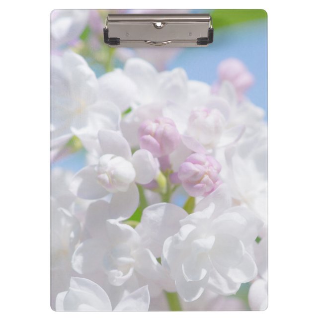 Lilac Blume Klemmbrett (Vorderseite)