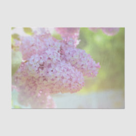 Lilac Blume Licht Lila Schönes Land Seidenpapier