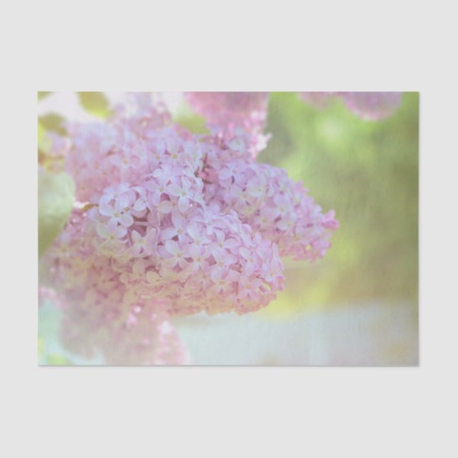 Lilac Blume Licht Lila Schönes Land Seidenpapier (Vorderseite)