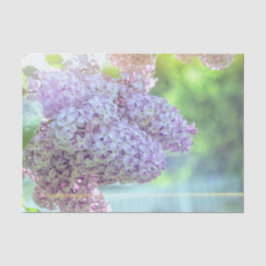 Lilac Blume Lila Schönes Land Morgensonne Seidenpapier