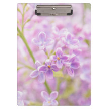 Lilac Blume Mist