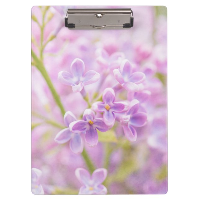 Lilac Blume Mist Klemmbrett (Vorderseite)