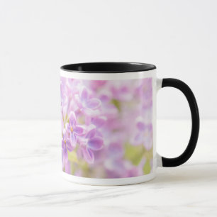 Lilac Blume Mist Tasse
