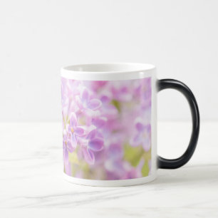 Lilac Blume Mist Verwandlungstasse