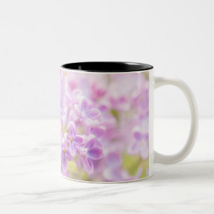 Lilac Blume Mist Zweifarbige Tasse