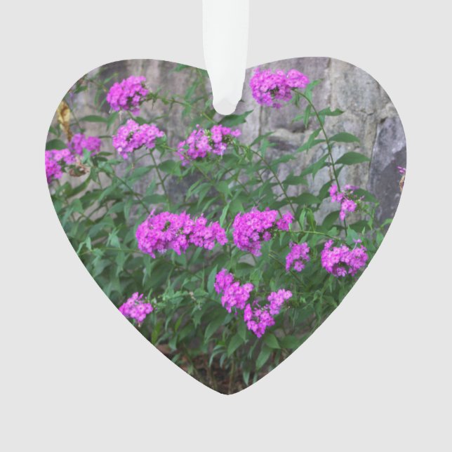 Lilac Blume Ornament (Vorderseite)