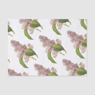 Lilac Blume Pattern Seidenpapier