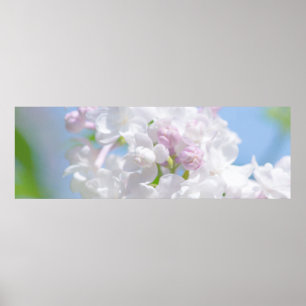 Lilac Blume Poster
