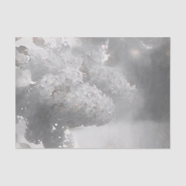 Lilac Blume Schwarz-Weiß Art Country Design Seidenpapier (Vorderseite)