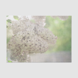 Lilac Blume Soft White Country Botanic Seidenpapier