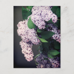 Lilac Bouquet mit Vignette Postkarte