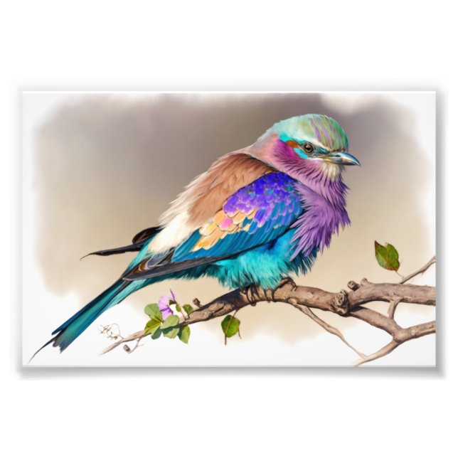 Lilac-Breasted Roller Bird Fotodruck (Vorne)