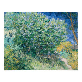 Lilac Bush (Lilacs) von Vincent Van Gogh Fotodruck