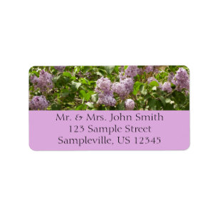 Lilac Bush Schöne Lila Frühlingsblumen Adressaufkleber