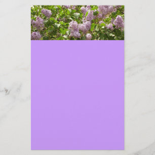 Lilac Bush Schöne Lila Frühlingsblumen Briefpapier
