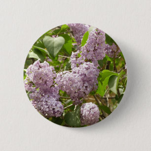Lilac Bush Schöne Lila Frühlingsblumen Button