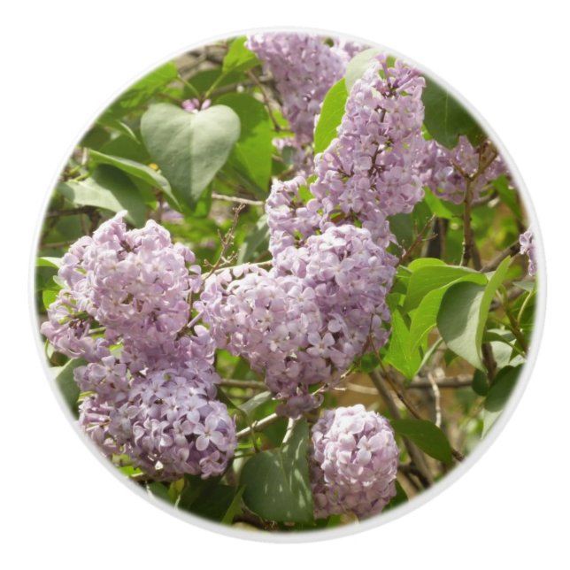 Lilac Bush Schöne Lila Frühlingsblumen Keramikknauf (Vorderseite)