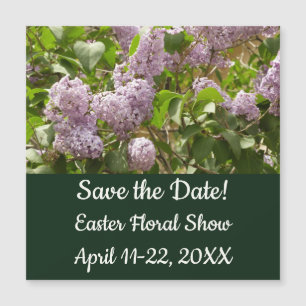 Lilac Bush Schöne Lila Frühlingsblumen Magnetkarte