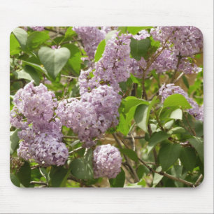 Lilac Bush Schöne Lila Frühlingsblumen Mousepad