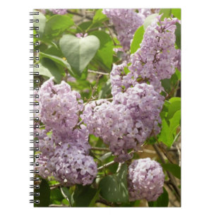 Lilac Bush Schöne Lila Frühlingsblumen Notizblock
