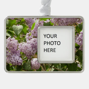 Lilac Bush Schöne Lila Frühlingsblumen Rahmen-Ornament Silber