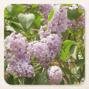 Lilac Bush Schöne Lila Frühlingsblumen Rechteckiger Pappuntersetzer