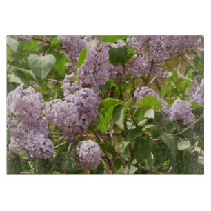 Lilac Bush Schöne Lila Frühlingsblumen Schneidebrett