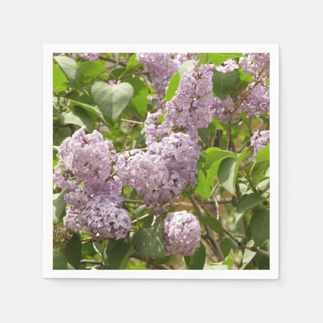 Lilac Bush Schöne Lila Frühlingsblumen Serviette (Vorderseite)