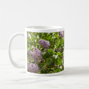 Lilac Bush Schöne Lila Frühlingsblumen Tasse