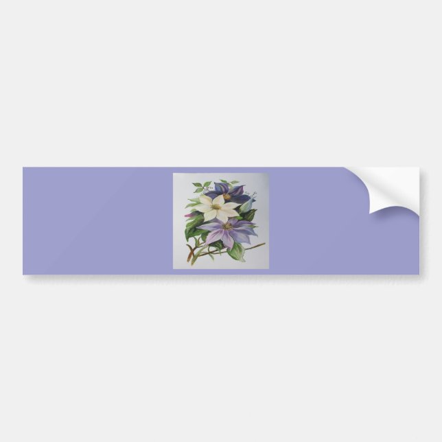 Lilac Clematis Vine Acrylmalerei Autoaufkleber (Vorne)