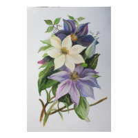 Lilac Clematis Vine Acrylmalerei