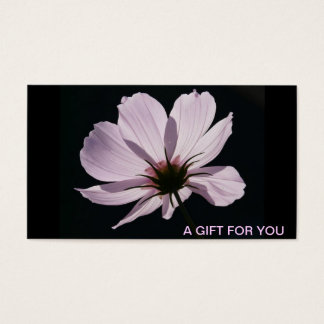 Lilac Cosmea Blume Gift Cards